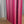 #157 8ft x 8ft Azure Velvet & Rose Red Curtain(Double Sided)  Rental Per Day